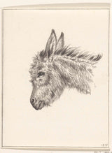 jean-bernard-1818-head-of-a-donkey-left-art-print-fine-art-reproduction-wall-art-id-a9dd7cp14