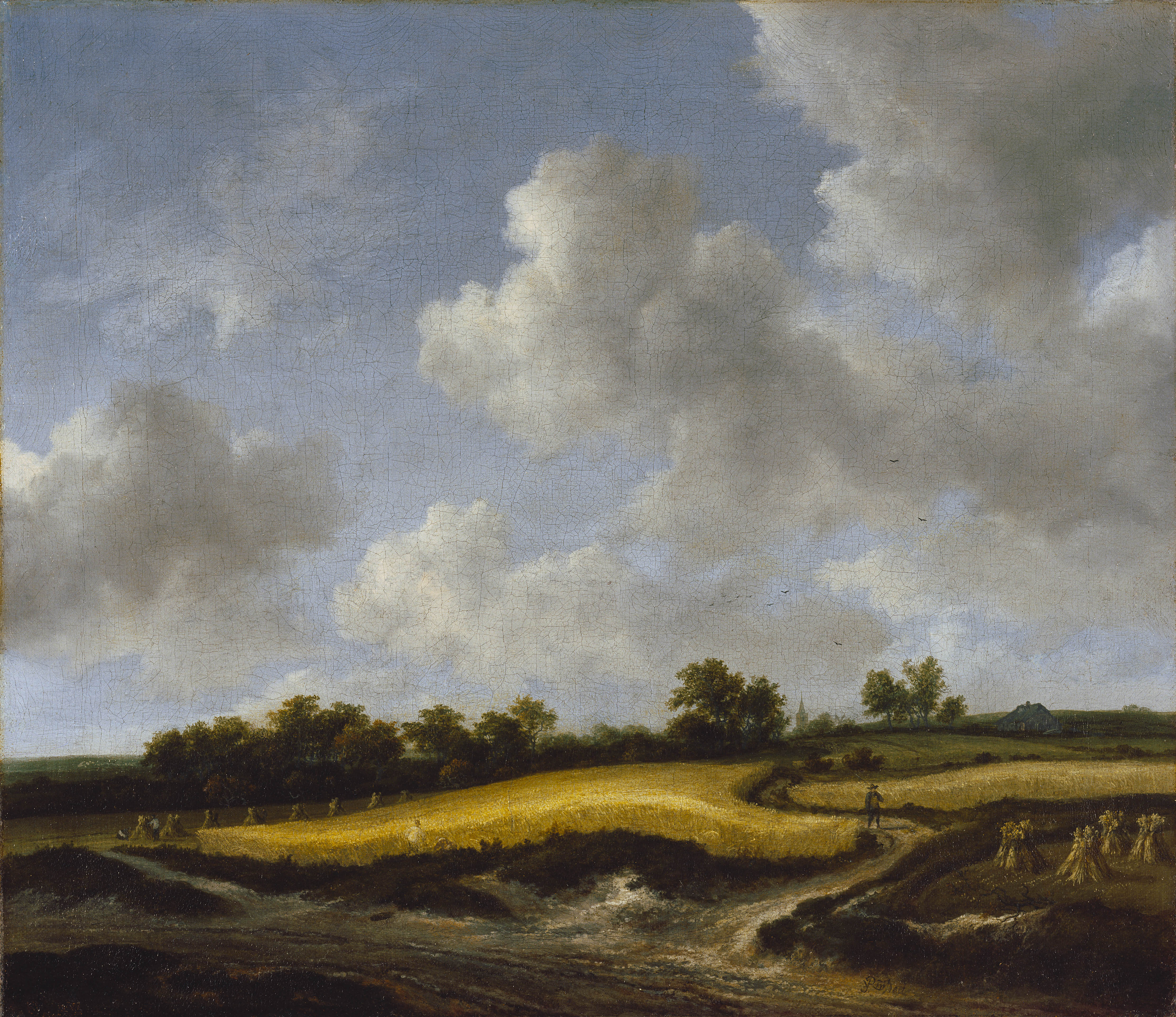 Jacob van Ruisdael, 1662 - Landscape with a Wheatfield - fine art