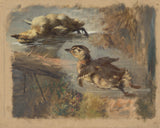 scheidlin-friedrich-carl-von-study-of-ducks-on-the-water-i-art-print-fine-art-reproduction-wall-art-id-afrwhfjgo