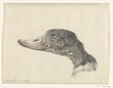 jean-bernard-1828-head-of-a-shelduck-art-print-fine-art-reproduction-wall-art-id-afztgox96