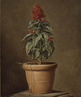 henri-horace-roland-delaporte-a-potted-plant-art-print-fine-art-reproduction-wall-art-id-amnq9pii7