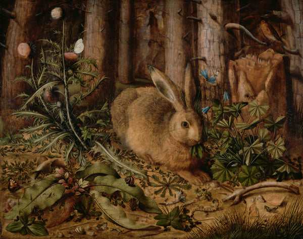 hans-hoffmann-1585-a-hare-in-the-forest-art-print-fine-art-reproduction-wall-art-id-an1685kd0
