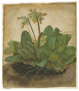 albrecht-durer-1526-tuft-of-cowslips-art-print-fine-art-reproduction-wall-art-id-aon481nve
