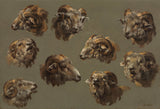 unknown-1700-studies-of-ram-heads-art-print-fine-art-reproduction-wall-art-id-aow26d471