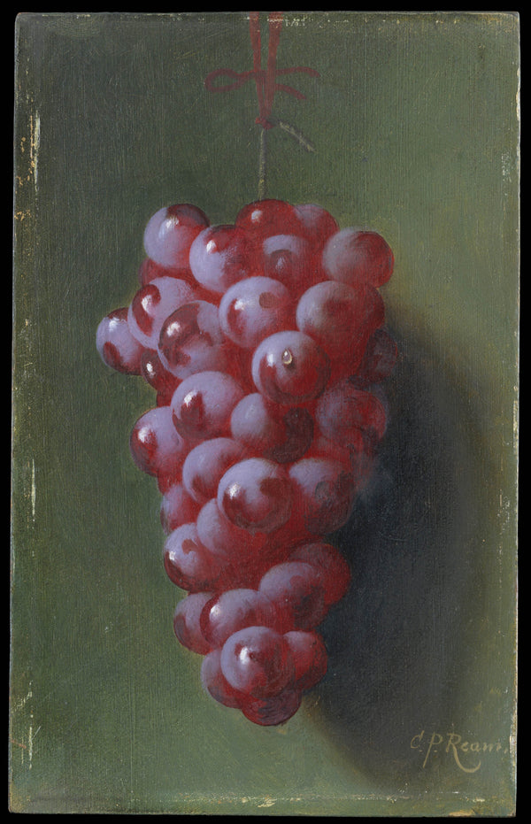 carducius-plantagenet-ream-still-life-with-grapes-art-print-fine-art-reproduction-wall-art-id-awyaoxnl5