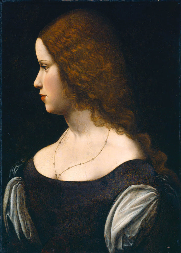 leonardo-da-vinci-1500-portrait-of-a-young-lady-art-print-fine-art-reproduction-wall-art-id-az2lliu88