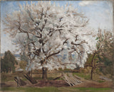 Carl-fredrik-hill-1877-epletre-i-blomst-art-print-fine-art-gjengivelse-vegg-art-id-a05m25sba