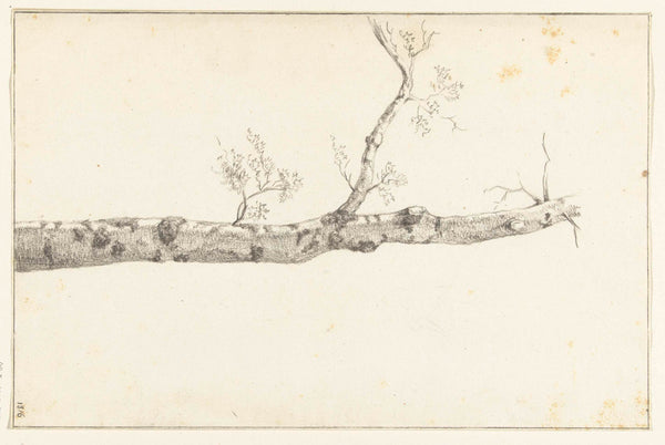 jean-bernard-1816-study-of-a-tree-art-print-fine-art-reproduction-wall-art-id-a08edp82y