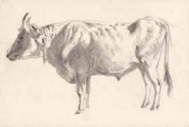 johan-daniel-koelman-1841-study-of-an-ox-in-profile-art-print-fine-art-reproduction-wall-art-id-a08x7xl1j
