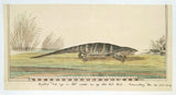 onbekend-1779-steppenvaraan-varanus-exanthematicus-albigularis-kunstprint-fine-art-reproductie-muurkunst-id-a0hs0d61y