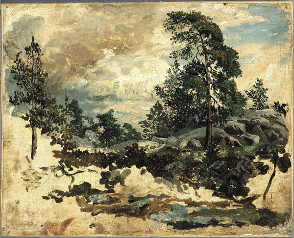 kilian-zoll-study-of-terrain-art-print-fine-art-reproduction-wall-art-id-a0p393qep