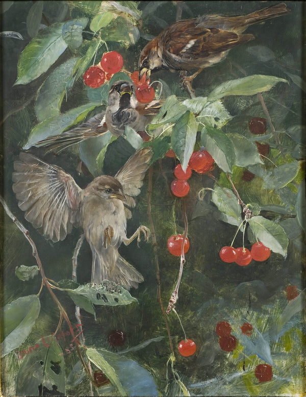 bruno-liljefors-1885-sparrows-in-a-cherry-tree-five-studies-in-one-frame-nm-2223-2227-art-print-fine-art-reproduction-wall-art-id-a0vg2bbih