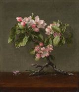 martin-johnson-heade-1873-appelbloesems-kunstprint-fine-art-reproductie-muurkunst-id-a0ybmkipk