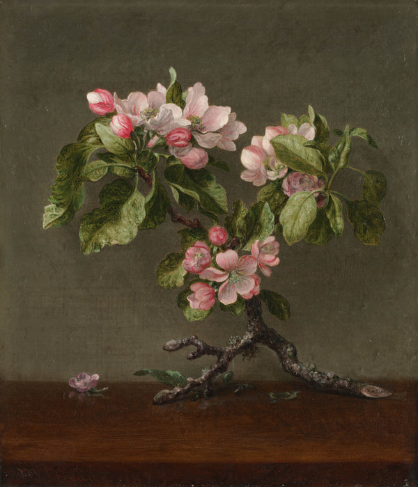 martin-johnson-heade-1873-apple-blossoms-art-print-fine-art-reproduction-wall-art-id-a0ybmkipk