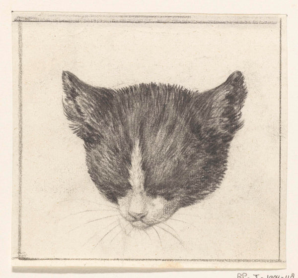 jean-bernard-1775-head-of-a-cat-art-print-fine-art-reproduction-wall-art-id-a1ccs8irt