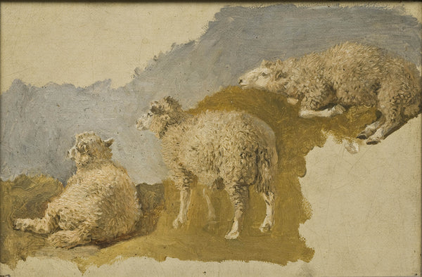 kilian-zoll-three-sheep-study-art-print-fine-art-reproduction-wall-art-id-a1s7dc0yn