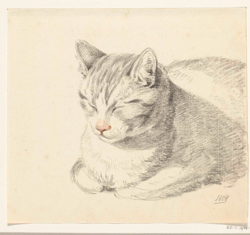 jean-bernard-1808-reclining-cat-obliquely-from-the-front-art-print-fine-art-reproduction-wall-art-id-a2c99do9s