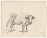 jean-bernard-1816-stāvošs-govs-labais-art-print-tēlotājmāksla-reproducēšana-wall-art-id-a2f2jpslj