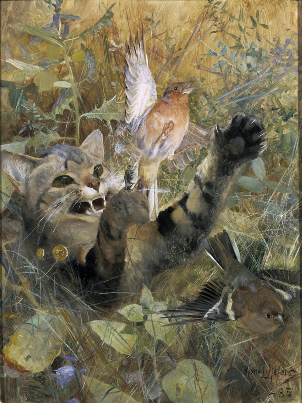 bruno-liljefors-1885-a-cat-and-a-chaffinch-five-animal-studies-in-one-frame-nm-2223-2227-art-print-fine-art-reproduction-wall-art-id-a2p8v70wk