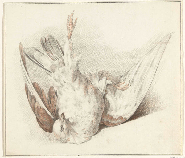 jean-bernard-1775-dead-pigeon-art-print-fine-art-reproduction-wall-art-id-a2w9qpo6f