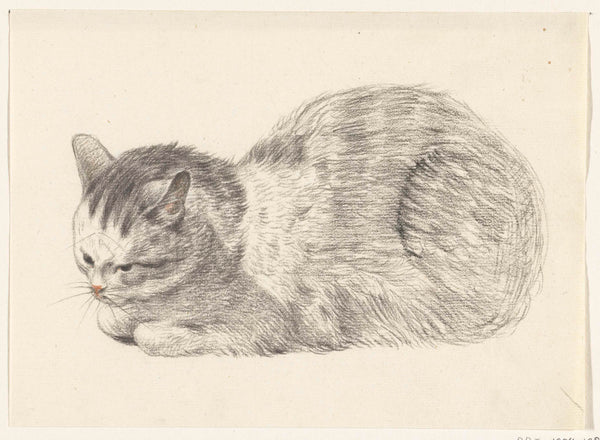 jean-bernard-1775-lying-cat-left-art-print-fine-art-reproduction-wall-art-id-a3abfhtxv
