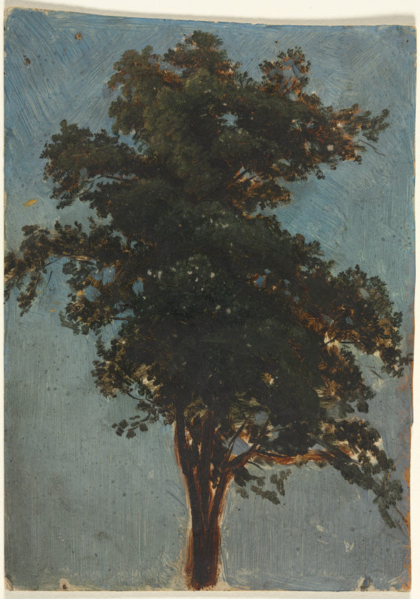 alexandre-calame-1800-tree-study-art-print-fine-art-reproduction-wall-art-id-a3fgexyie