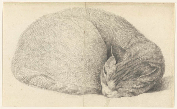 jean-bernard-1775-rolled-up-lying-sleeping-cat-art-print-fine-art-reproduction-wall-art-id-a3gje187r