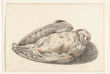 jean-bernard-1775-mrtva sova-umetnost-tisk-likovna-reprodukcija-stena-umetnost-id-a3kvqzgdu