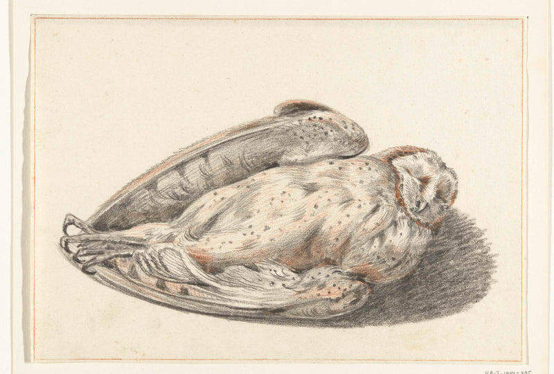 jean-bernard-1775-dead-owl-art-print-fine-art-reproduction-wall-art-id-a3kvqzgdu