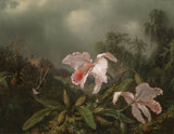 martin-johnson-heade-1872-selva-orquídeas-e-beija-flores-impressão de arte-reprodução de belas artes-arte de parede-id-a3nl9hily