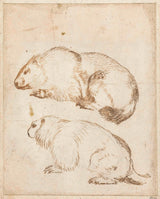 guercino-1601-兩隻土撥鼠-藝術印刷-精美藝術複製品-牆藝術-id-a3qxb1k5d