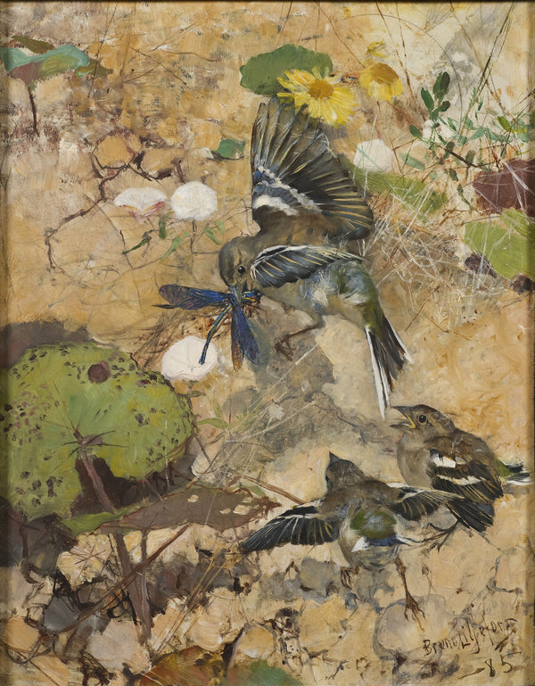 bruno-liljefors-1885-chaffinches-and-dragonflies-five-studies-in-one-frame-nm-2223-2227-art-print-fine-art-reproduction-wall-art-id-a42d2nk05