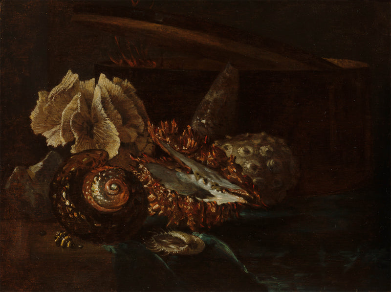 willem-kalf-1690-still-life-with-shells-and-coral-art-print-fine-art-reproduction-wall-art-id-a43ffeasr