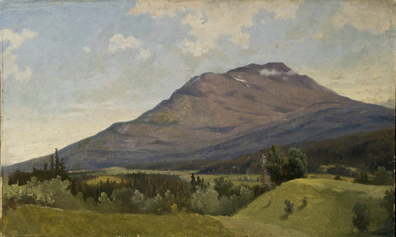 gustaf-wilhelm-palm-185-summer-landscape-with-mountain-art-print-fine-art-reproduction-wall-art-id-a4f53mee8