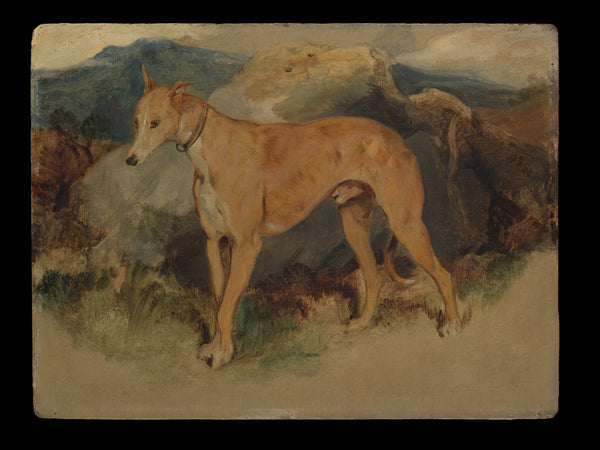 sir-edwin-henry-landseer-1826-a-deerhound-art-print-fine-art-reproduction-wall-art-id-a4i7hgu6m