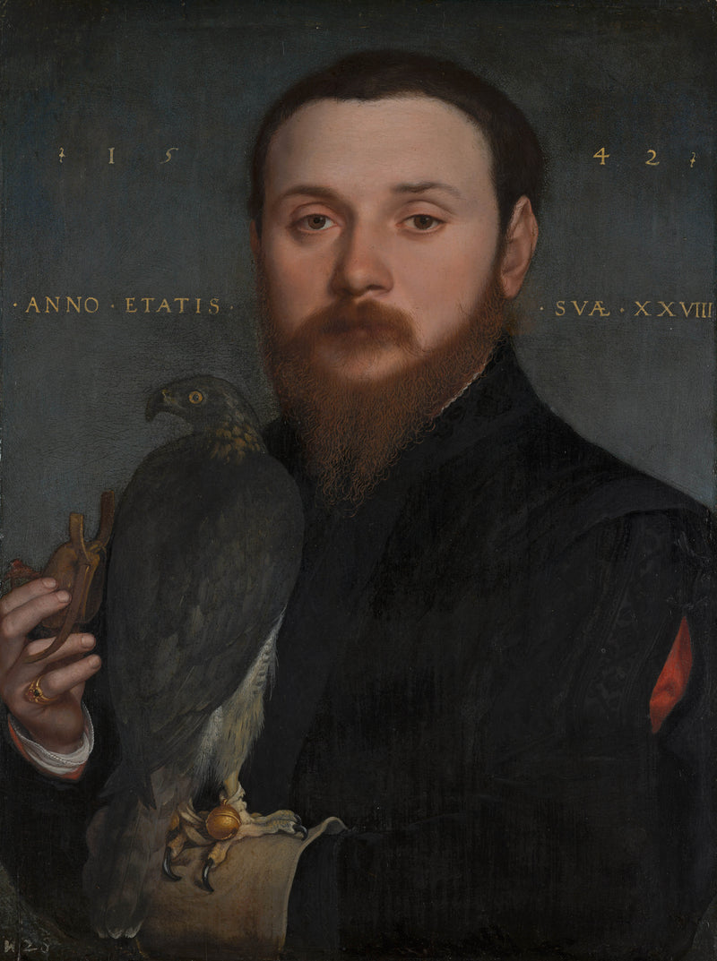 hans-holbein-the-younger-1542-portrait-of-a-nobleman-with-a-hawk-art-print-fine-art-reproduction-wall-art-id-a4kemgnlm