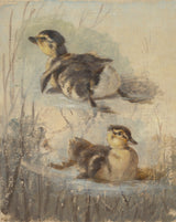 Friedrich-Carl-von-Scheidlin-study-of-ducks-on-the-water-II-art-print-art-art-reproduction-wall-art-id-a4nq2hfrw