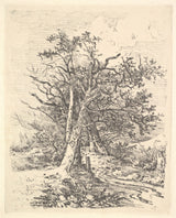 约翰·克罗姆（John-crome）1811年，树干和车道的艺术印刷精美的艺术复制品墙艺术ID A4oikwgzz