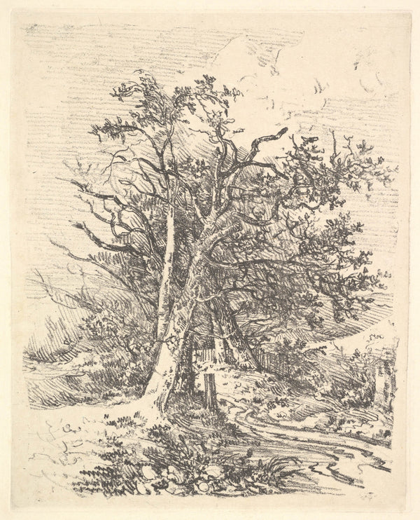 john-crome-1811-tree-trunks-and-lane-art-print-fine-art-reproduction-wall-art-id-a4oikwgzz
