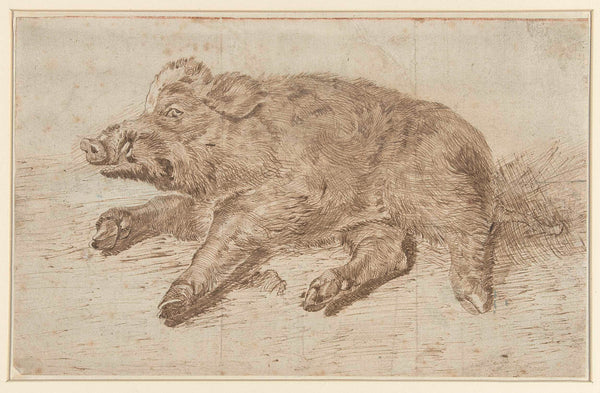 unknown-1700-lying-wild-boar-art-print-fine-art-reproduction-wall-art-id-a4r1w7gsd