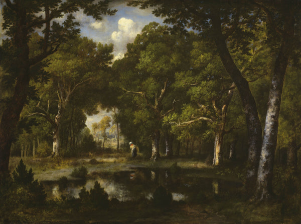 narcisse-virgile-diaz-de-la-pena-1862-pond-in-the-woods-art-print-fine-art-reproduction-wall-art-id-a4s9y2sn5