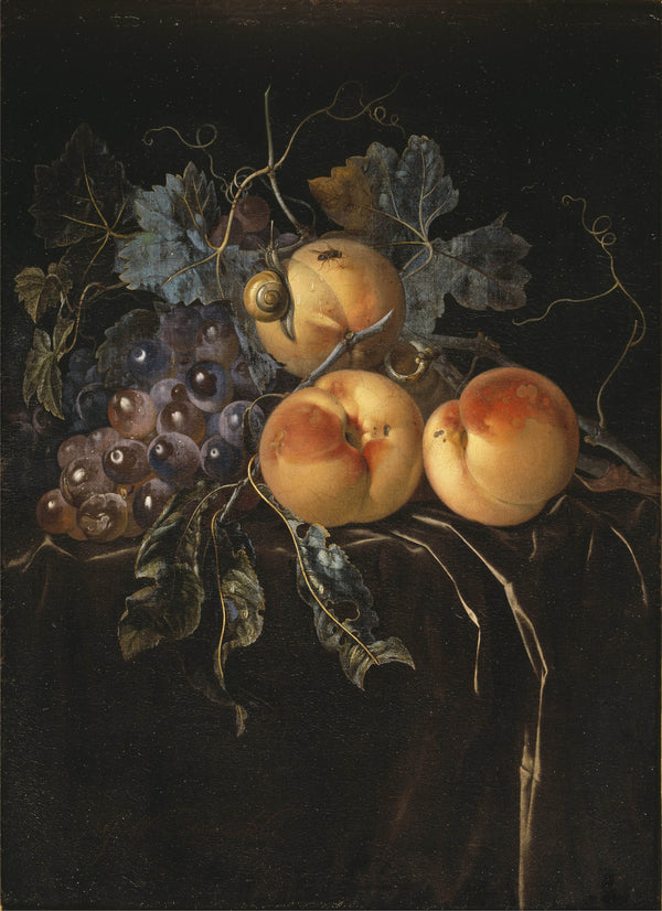 willem-van-aelst-still-life-with-peaches-and-grapes-art-print-fine-art-reproduction-wall-art-id-a4yn1f2wq