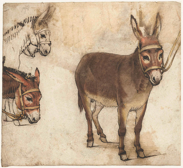 gerard-ter-borch-i-1612-study-sheet-with-donkeys-art-print-fine-art-reproduction-wall-art-id-a51dmz9b0