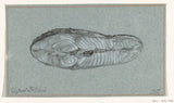 jean-bernard-1807-moot-cooked-salmon-art-print-fine-art-reproduction-wall-art-id-a5y0f5hm8