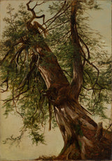 大衛·約翰遜-1867-雪松藝術印刷品美術複製品牆藝術 id-a6efayhtl 的研究