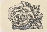 leo-Gestel-1935 senza titolo-rose-art-print-fine-art-riproduzione-wall-art-id-a6v5wu2lj
