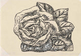 leo-gestel-1935-untitled-rose-art-print-fine-art-reproduction-wall-art-id-a6v5wu2lj