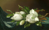 martin-johnson-heade-1895-magnolias-on-bleu-clair-velours-tissu-art-print-reproduction-fine-art-wall-art-id-a7gjhyhvr