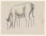 leo-gestel-1891-esboço-folha-cavalo-estudo-arte-impressão-reprodução de belas artes-arte-de-parede-id-a7lrupo5y