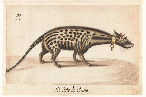 unknown-1572-civet-cat-art-print-fine-art-reproduction-wall-art-id-a7t7tss1h